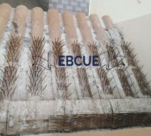 شركة تركيب طارد الحمام بالرياض