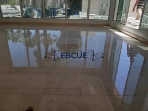 شركة جلي بلاط