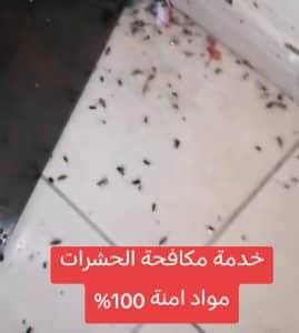 شركة رش مبيدات بالرياض
