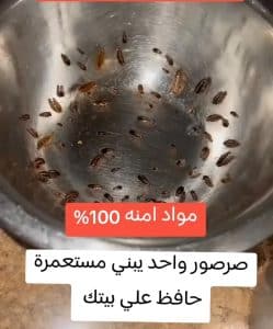 رش مبيدات